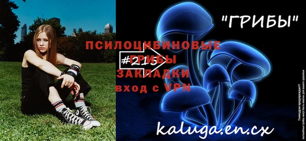 стафф Абинск