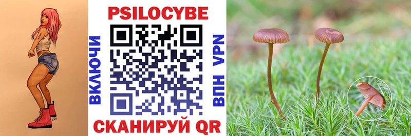 Галлюциногенные грибы Cubensis  omg ТОР  Лангепас 